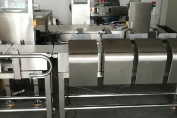 雞爪4級(jí)重量分選機(jī)測試視頻